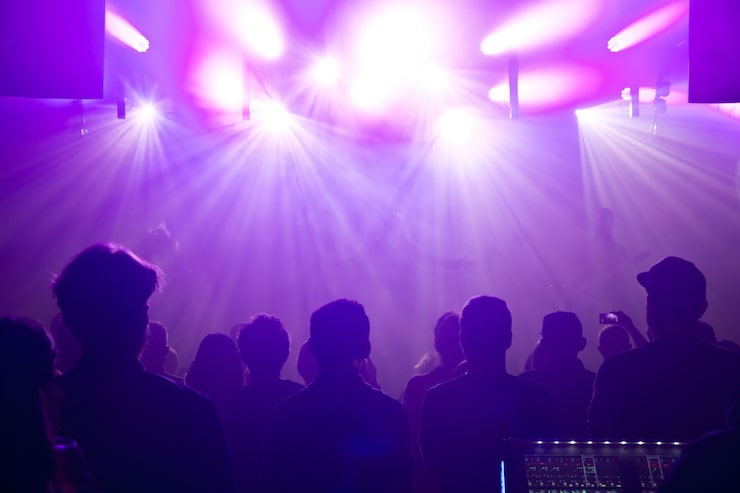 Live concert crowd